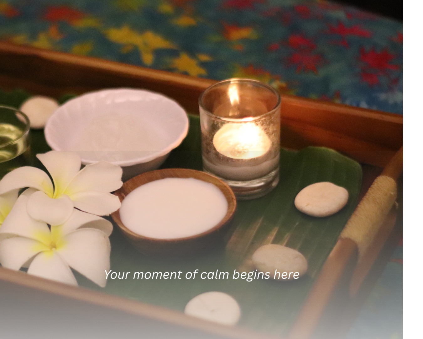 YOU ARE MY  SUNSHINE