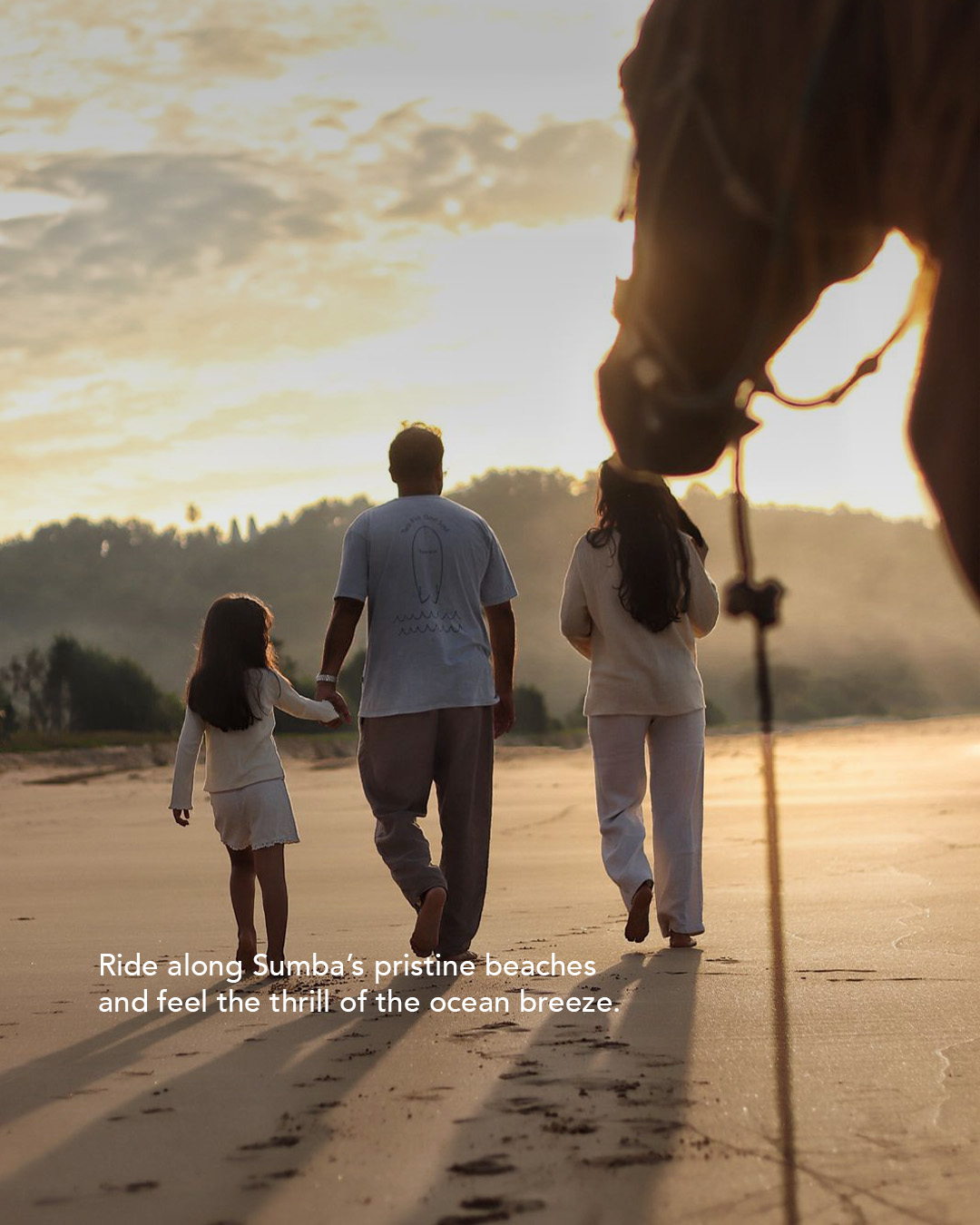 Horse Riding Limited Offer Sunset
